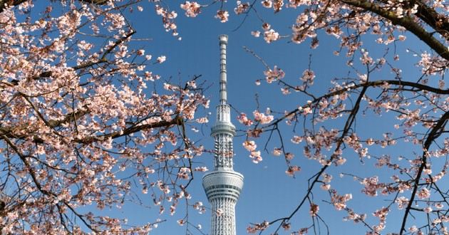 上海风水大师