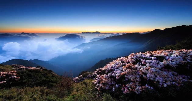 上海风水大师