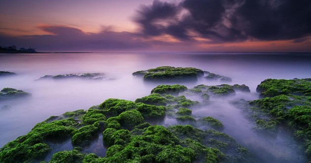 上海风水大师