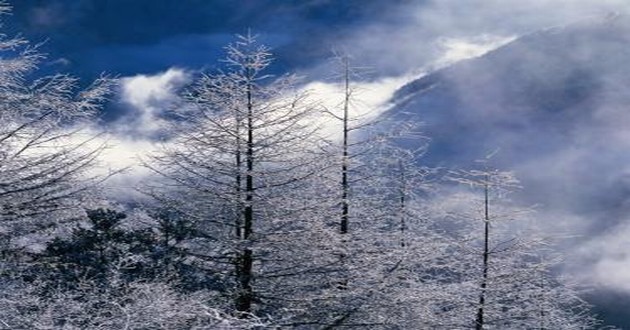 深圳风水大师