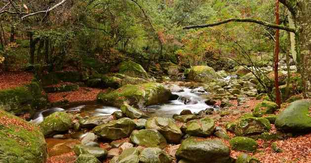 深圳风水大师