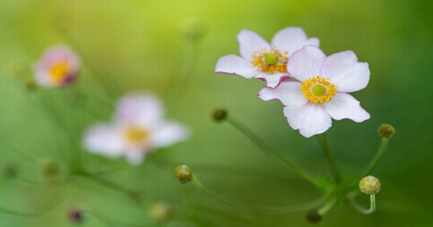 深圳风水大师
