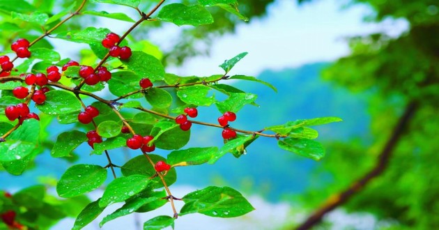 深圳风水大师