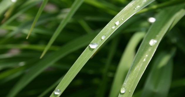 深圳风水大师