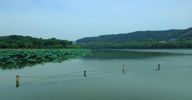 深圳风水大师