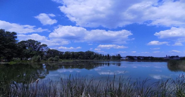 深圳风水大师