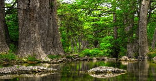 深圳风水大师