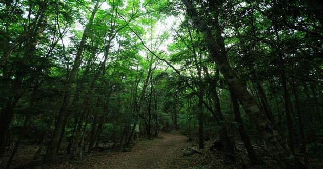 深圳风水大师