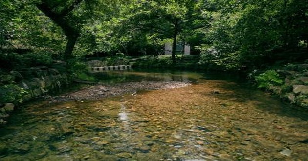 深圳风水大师