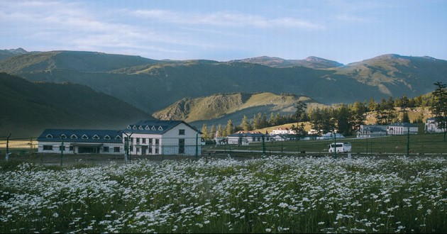 风水大师秦阳明