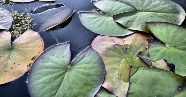 深圳风水大师