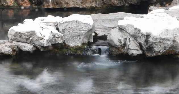 风水大师秦阳明