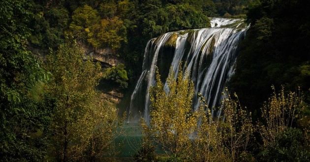 风水大师秦阳明