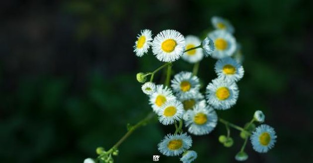 风水大师秦阳明