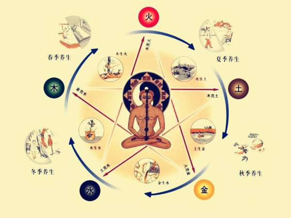 中医是怎样来剖析阴阳五行的？