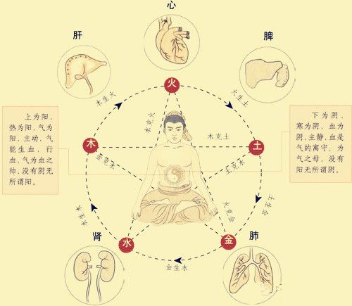 易经养生系列——医易同源