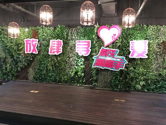 放肆寻爱-娱乐高高手