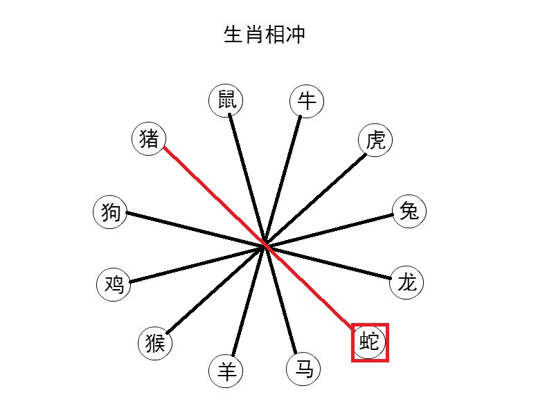 地支相冲_生肖蛇2019年犯冲太岁