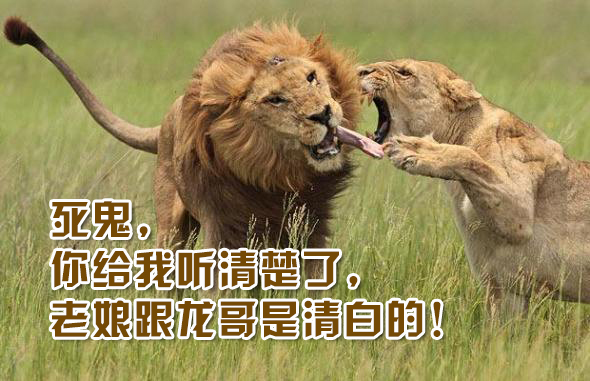 铜狮子的摆放位置风水讲究