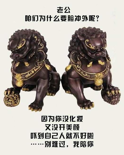 铜狮子的摆放位置风水讲究
