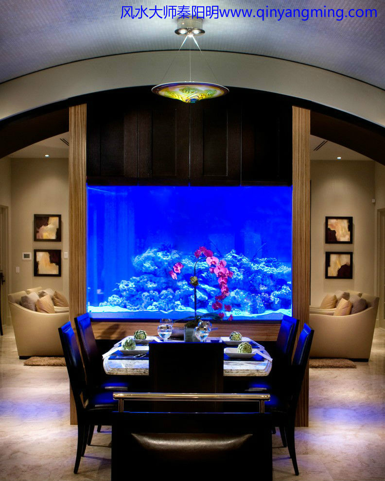 家居养鱼风水注意事项