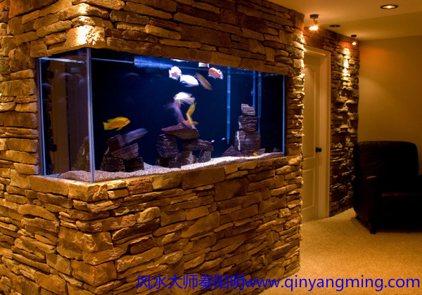 家居养鱼风水注意事项
