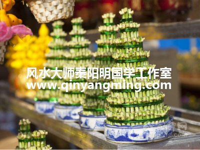 富贵竹要怎么摆放？