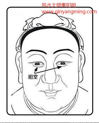 泪堂在哪？怎么看好不好示意图