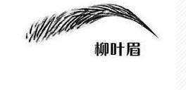 柳叶眉