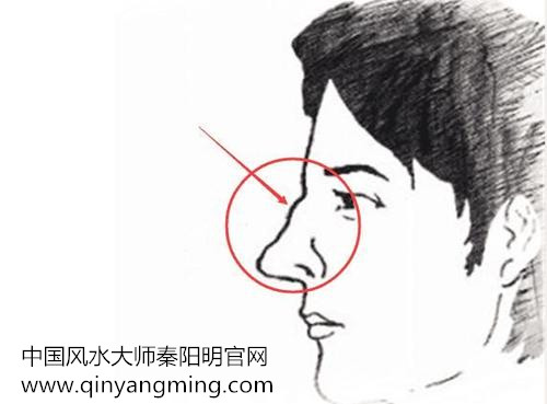 鼻梁起节示意图