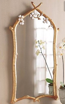 镜子引来烂桃花