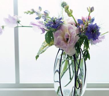 办公室风水花瓶