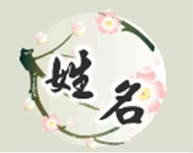 起名字