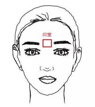 印堂的位置