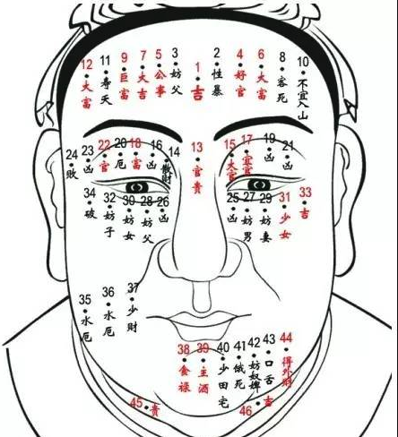 面部痣图解大全