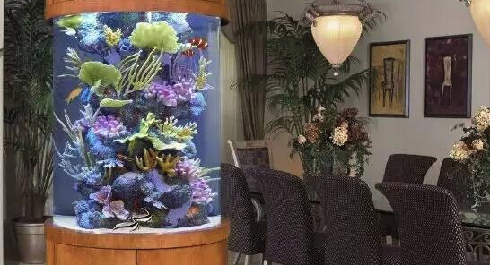 办公室养鱼风水