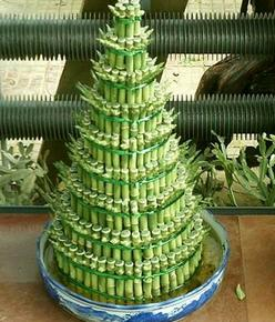 绿植催旺家居客厅风水