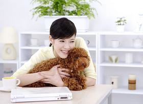 养狗宠物能改善客厅风水