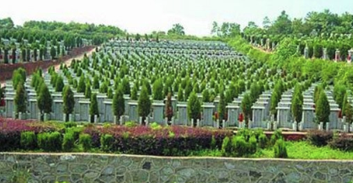 好的墓地风水介绍