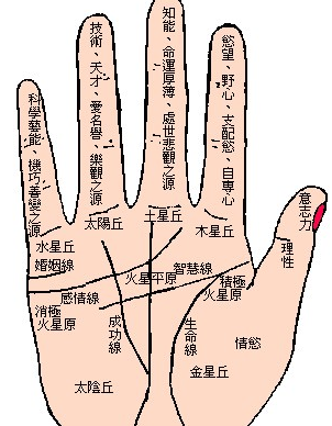 手上的痣图解什么意思