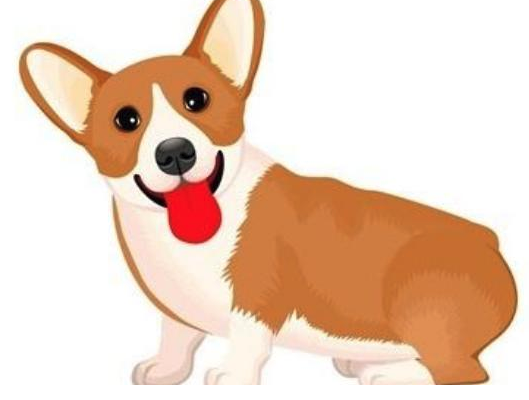 属狗人2020年运势大全