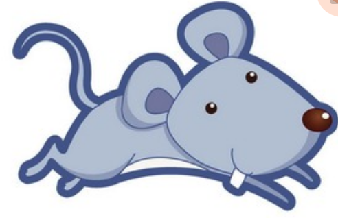 属鼠人2020年每月运势