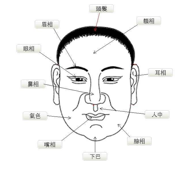 有钱人的面相特征