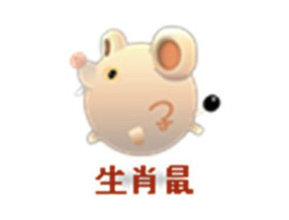 属鼠人和属兔人能结婚吗？