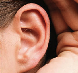 耳朵饱满的面相有福气