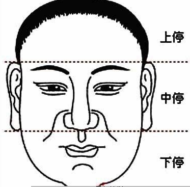 什么是面相中的三庭