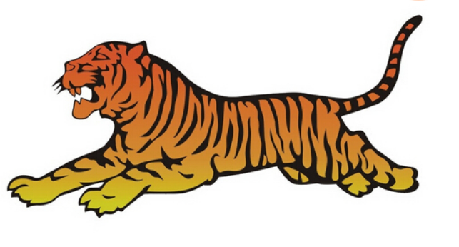 属虎人2020年健康运势