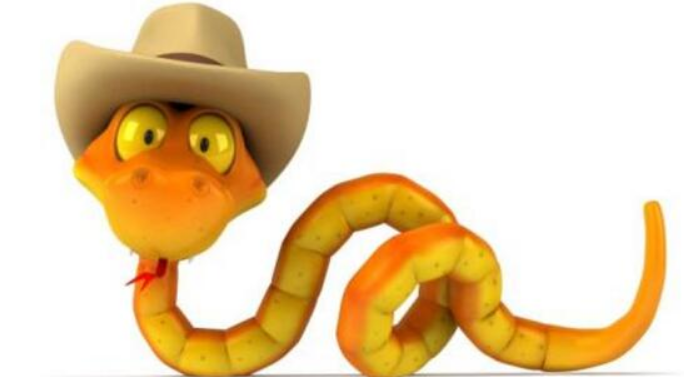 属蛇人属相婚姻配对最合生肖