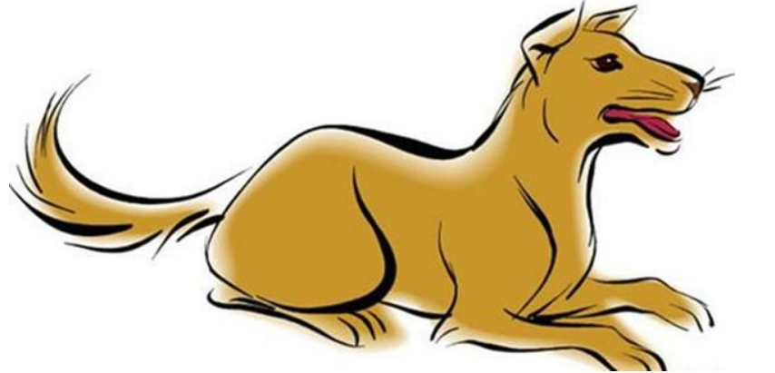 属狗人属相婚姻配对最合生肖