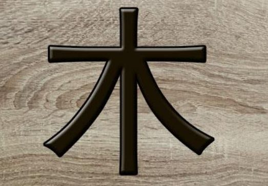 八字缺木的人如何补木